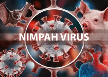 Outbreak Of Deadly Nipah Virus Which Can Lead To Epidemic
