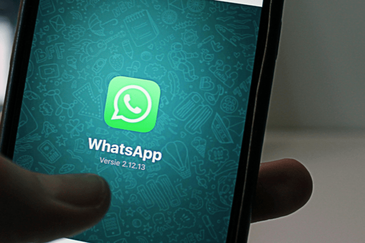 WhatsApp profile with social media links feature in 2025